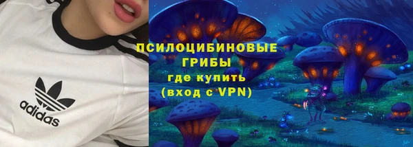 прущая мука Кодинск
