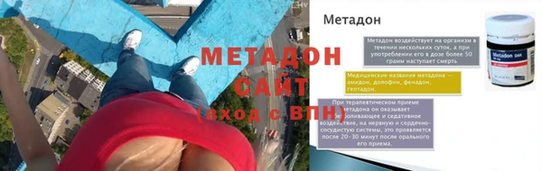 прущие грибы Козловка