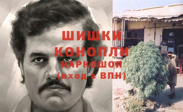 прущие грибы Козловка