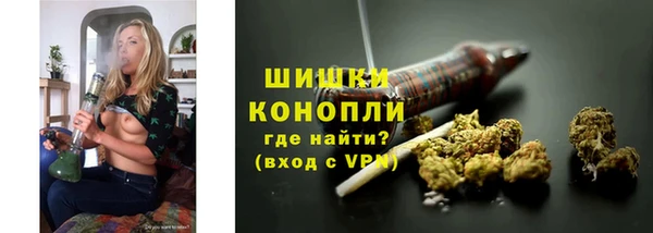прущие грибы Козловка