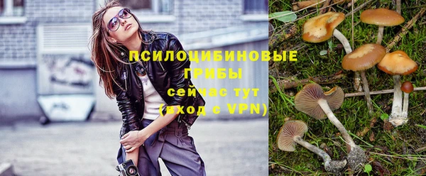прущая мука Кодинск