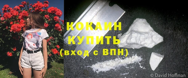 прущие грибы Козловка