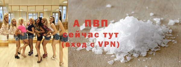 прущие грибы Козловка