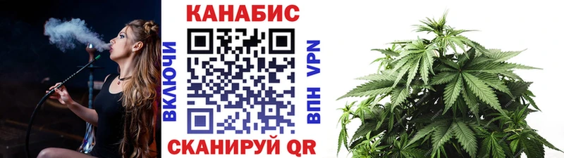 Купить где  Торопец  Шишки марихуана планчик 